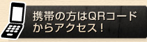 gт̕QRR[hANZXI